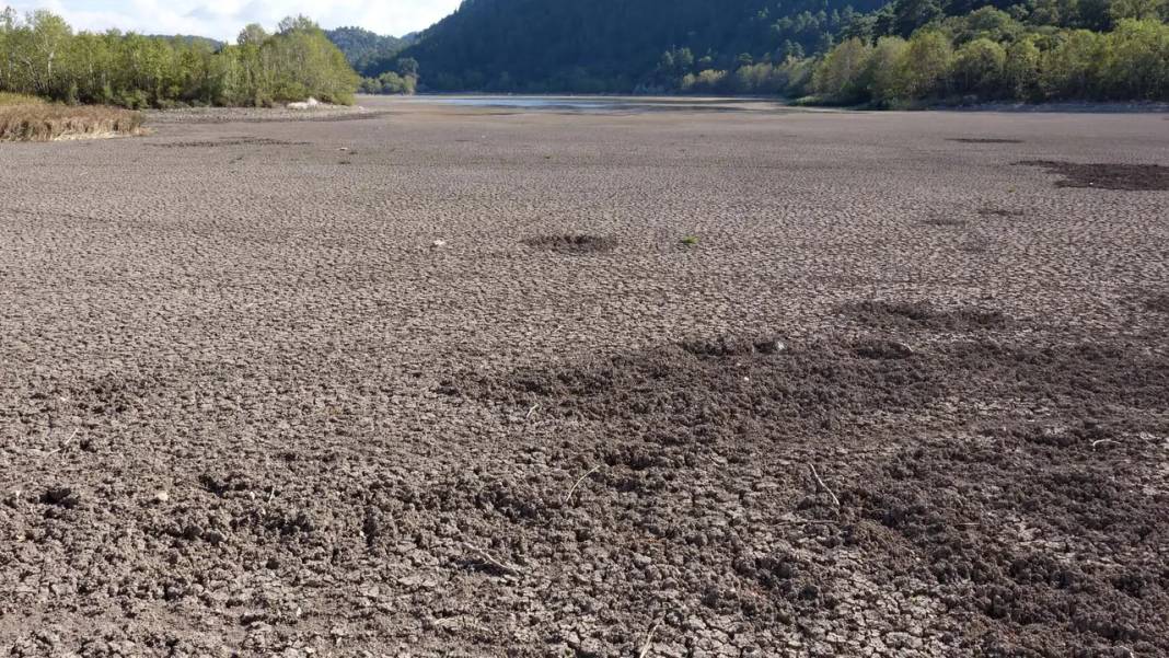 Eğirdir Gölü İkiye Ayrıldı! Doğal Cennet Can Çekişiyor 1
